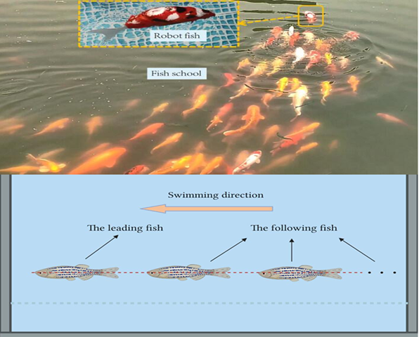 群体智能系统示意图